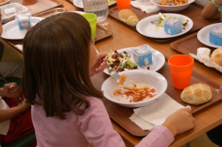 SERVIZIO DI REFEZIONE SCOLASTICA